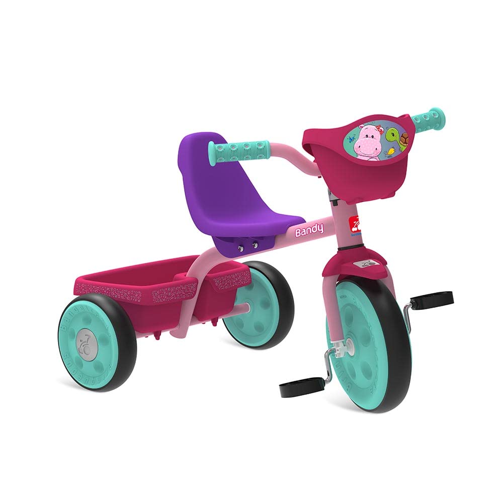 Bandeirante Triciclo Bandy Com Cestinha