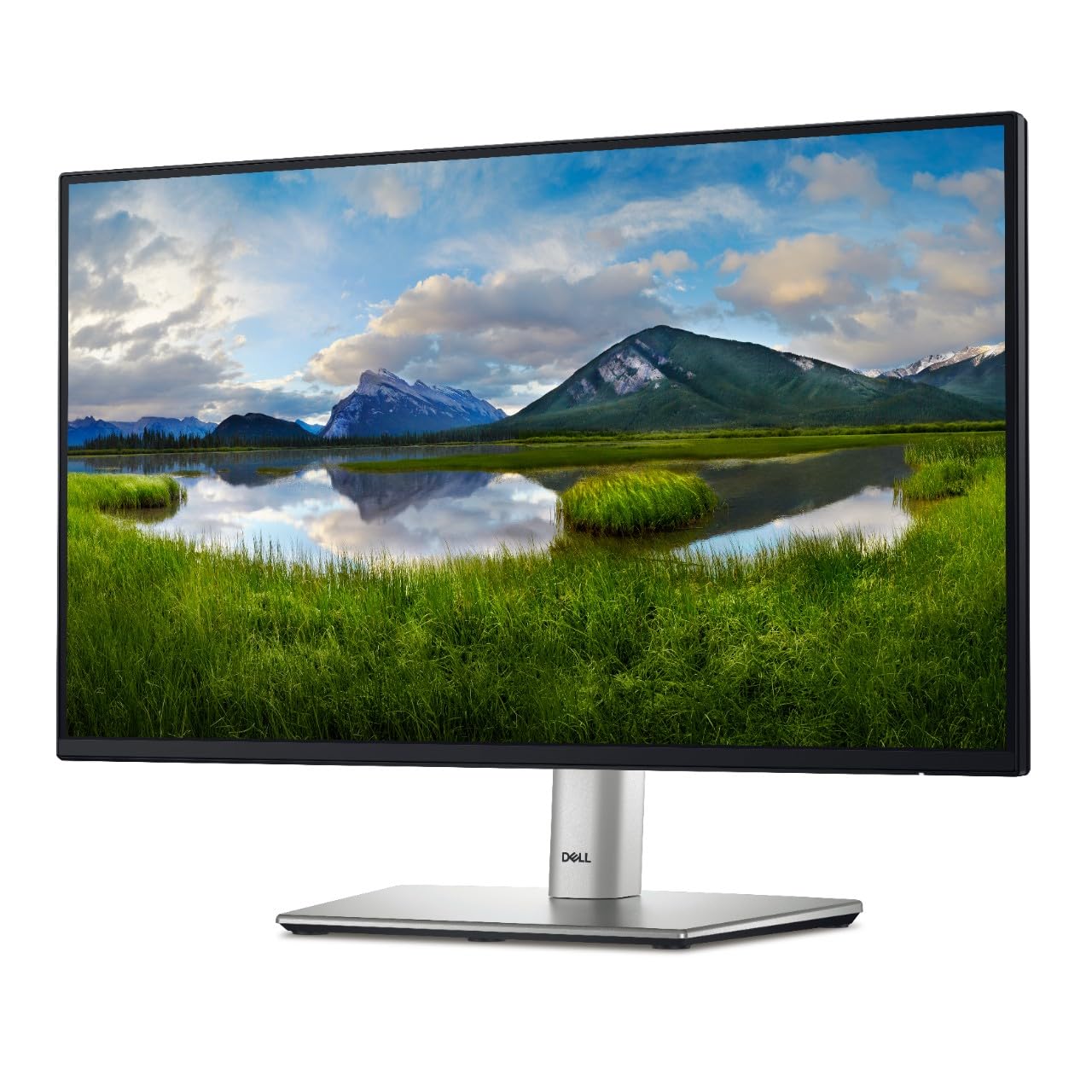Monitor Dell P2425H 24 Polegadas Full HD