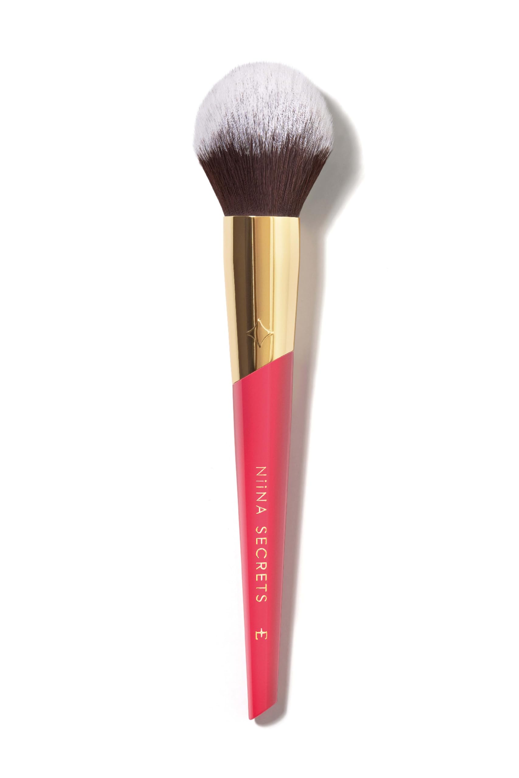 NIINA SECRETS PINCEL BLUSH